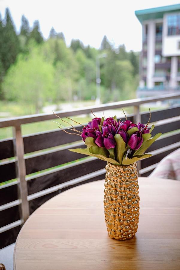 Silver Mountain Resort & Spa Poiana Braşov Exterior foto